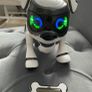 Tekstarobot dog Image 3
