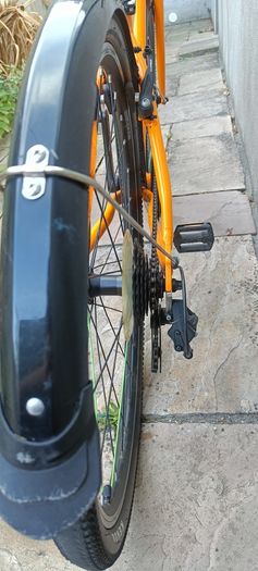 Frog Bike 69