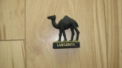 lanzarote black lava camel home decoration