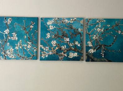 Van Gogh Almond Blossom triptych