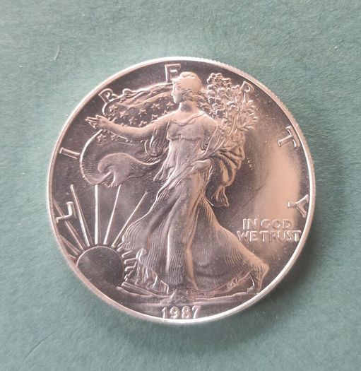10x 1oz Silver American Eagle Coin