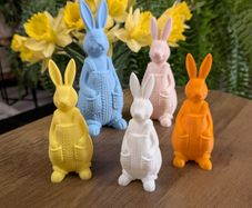 Sweet Bunny Family