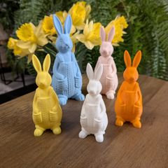 Sweet Bunny Family