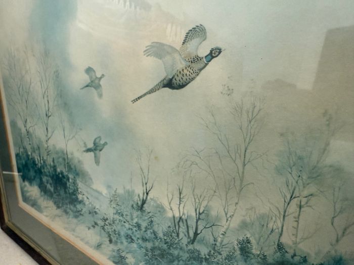 W. Milliken (1920 to 2014) Pheasants in Flight. Vintage Brotherton Gallery Sporting Print