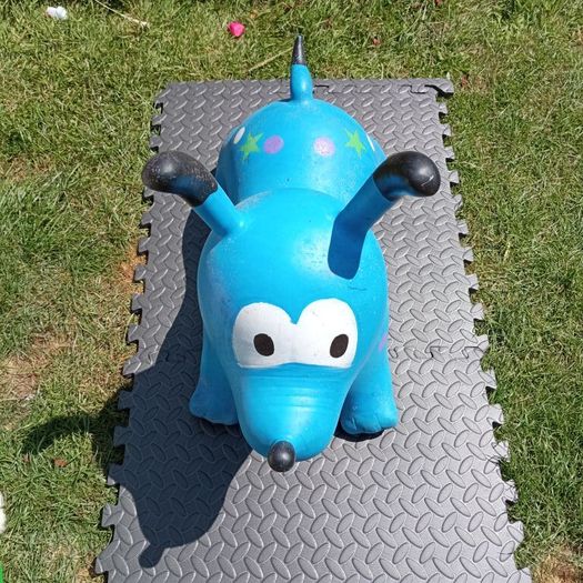 Inflatable dog