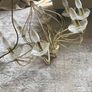Chandelier Style Lighting Image 2