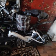 ebike Fiido DS1, Ds2,DS3-working well.