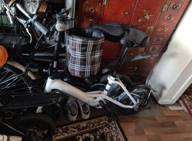 ebike Fiido DS1, Ds2,DS3-working well.
