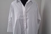 Zara Oversized Shirt