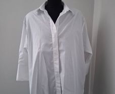 Zara Oversized Shirt