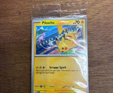 pokemon card Pikachu promo