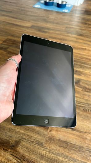 iPad Mini 2