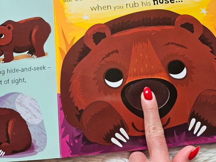 Owl Says Hoot - A Noisy Touch-and-Feel Night Book