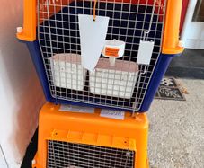 dog crates