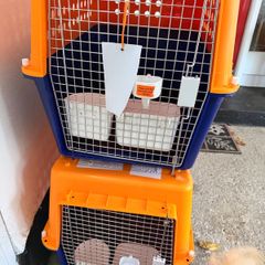 dog crates