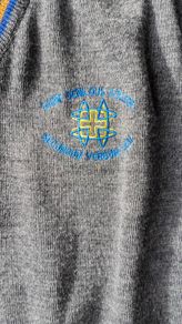 benildus school jumper