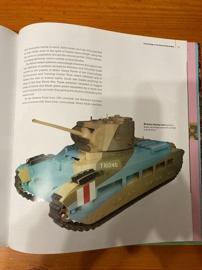 'Camouflage' by Tim Newark