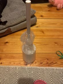 Toilet brush