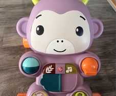 baby monkey walker