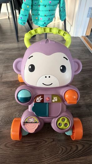baby monkey walker
