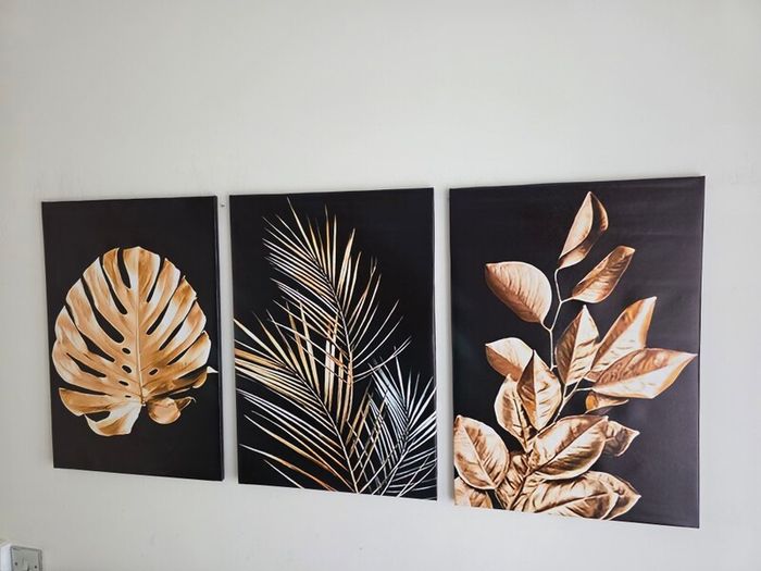 3 framed printed canvas 45x65cm