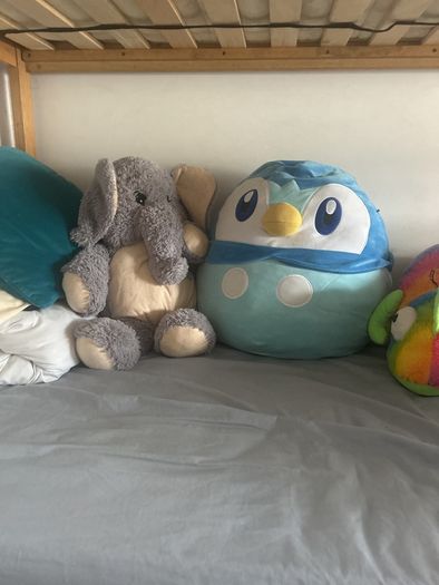 3 large teddy - free