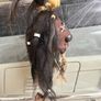 Shrunken Head Tribal Art Hanging Image 7