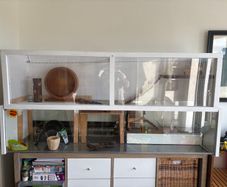 Hamster cage and accessories