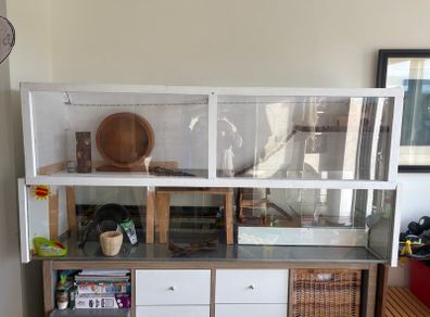 Hamster cage and accessories