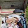 Dolls Image 7