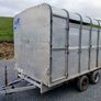 Ifvor Williams Sheep Trailer Image 2