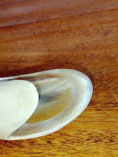 Vintage Carved Horn Fish