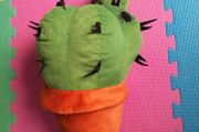 Cactus cushion