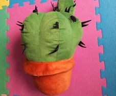 Cactus cushion