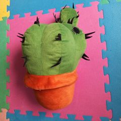 Cactus cushion