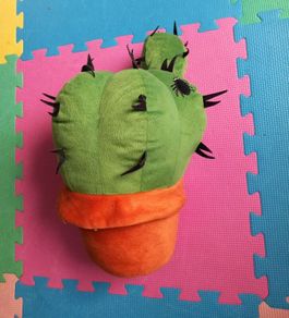 Cactus cushion