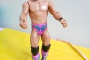 WWE Wrestlers Wrestler action Figure