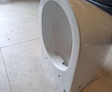 Rimless wall hung toilet and a shower door/tray