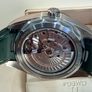 Omega seamaster aqua terra world timer GMT Image 9