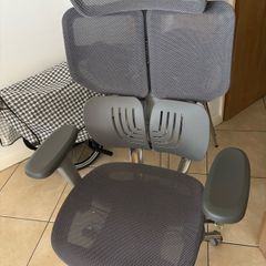 Office chair HINOMI X1 Ergonomic Chair