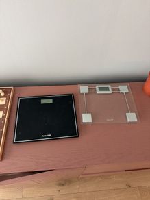 Scales Salter