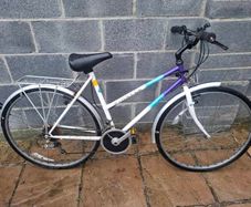 Raleigh Pioneer