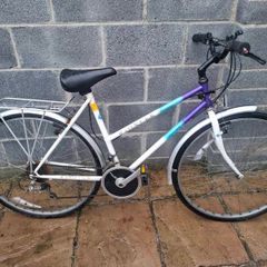 Raleigh Pioneer