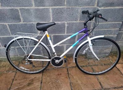 Raleigh Pioneer
