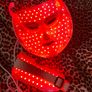 Beauty Led Mask Image 5