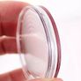 0556 20Pcs 45mm Round Clear Plastic Coin Holder Capsules Image 5