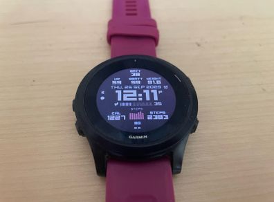 Garmin Forerunner