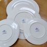 Dinner Plate Image 2