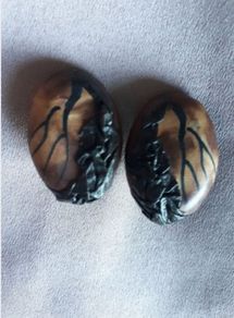 Brown Earrings