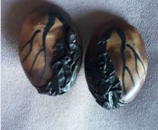 Brown Earrings